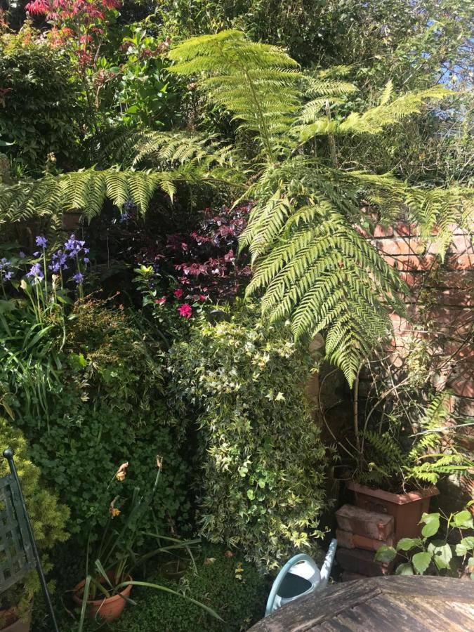1920'S House. Private En Suite Sitting Room . Dog Friendly Teignmouth Extérieur photo